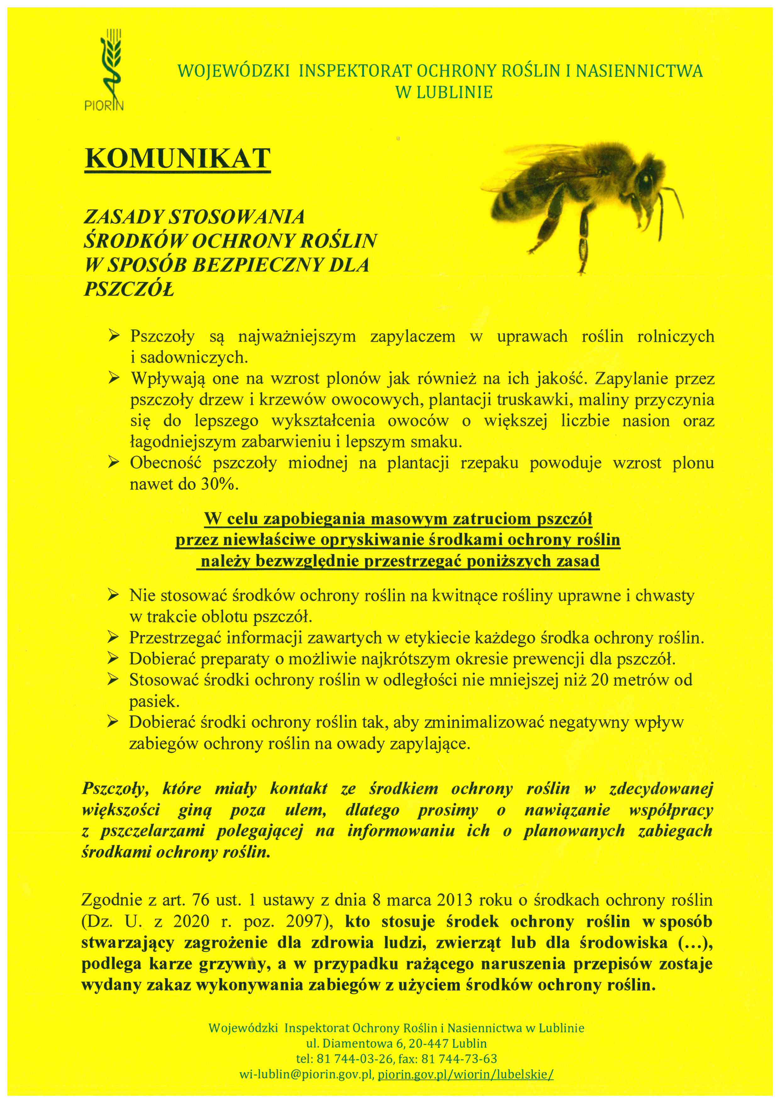 Zasady stosowania środków ochrony roślin w sposób bezpieczny dla pszczół - zdjęcie