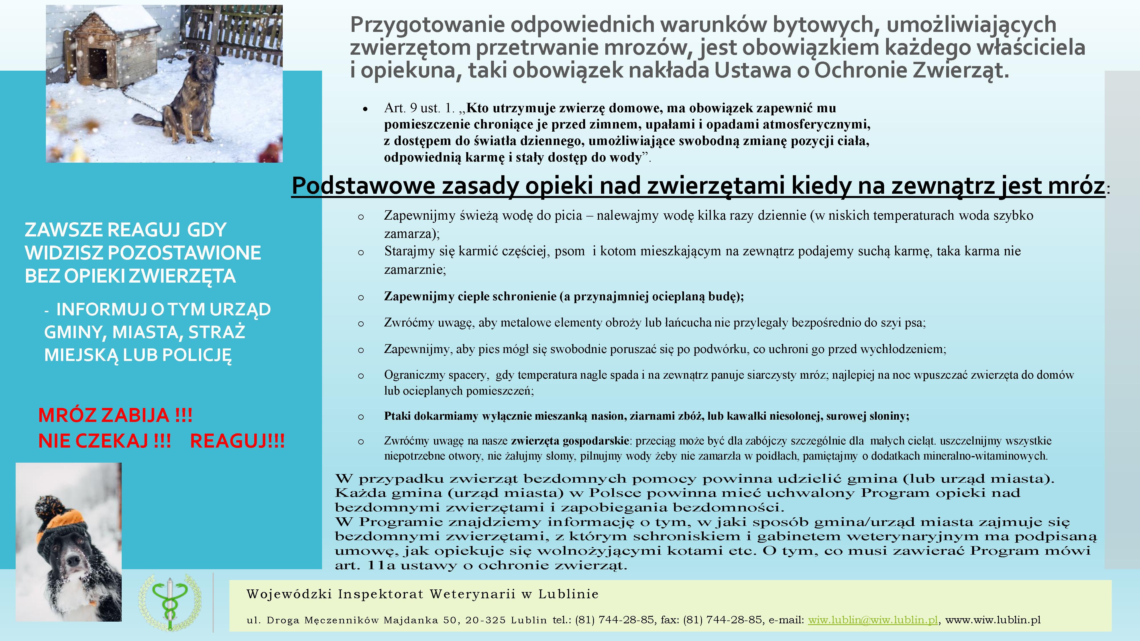 Opieka nad zwierzętami w zimie.