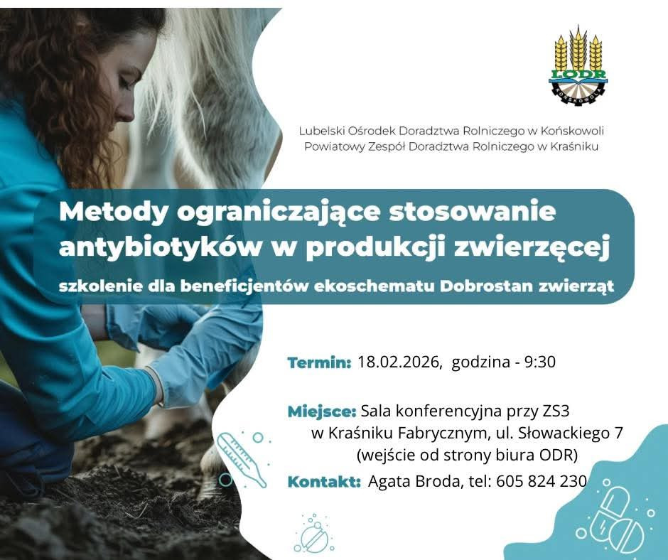 Metody ograniczające stosowanie antybiotyków w produkcji zwierzęcej