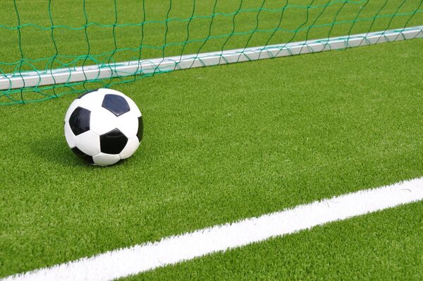 Konkurs ofert na sportowe zadania publiczne ogłoszony