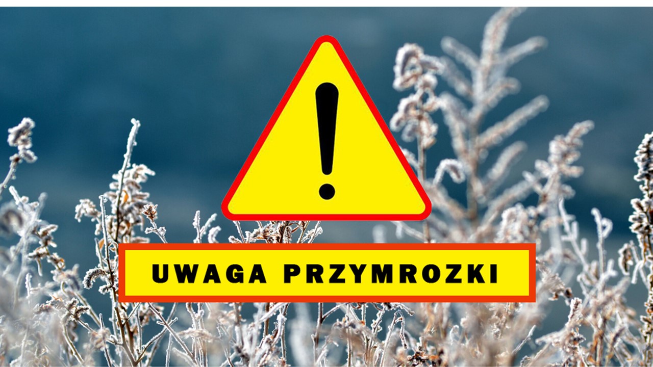 Przymrozki 9-10 kwiecień 2026