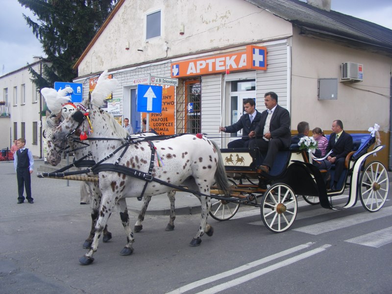 Dożynki Powiatowe 6 września 2009r.